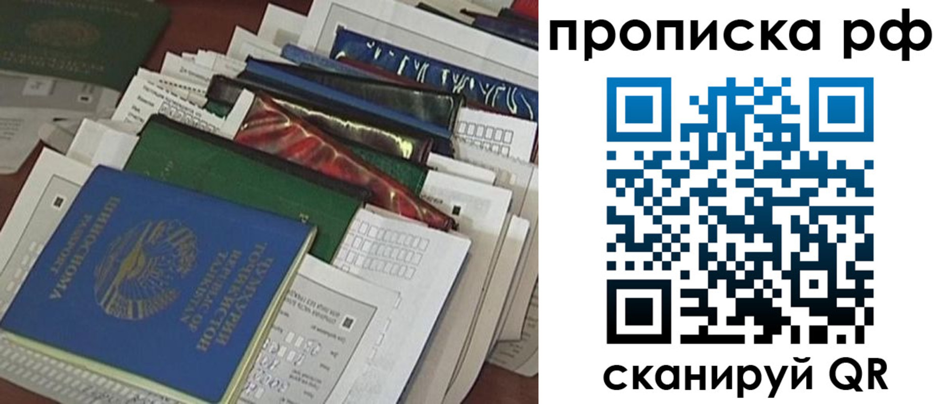 прописка в Каргополе